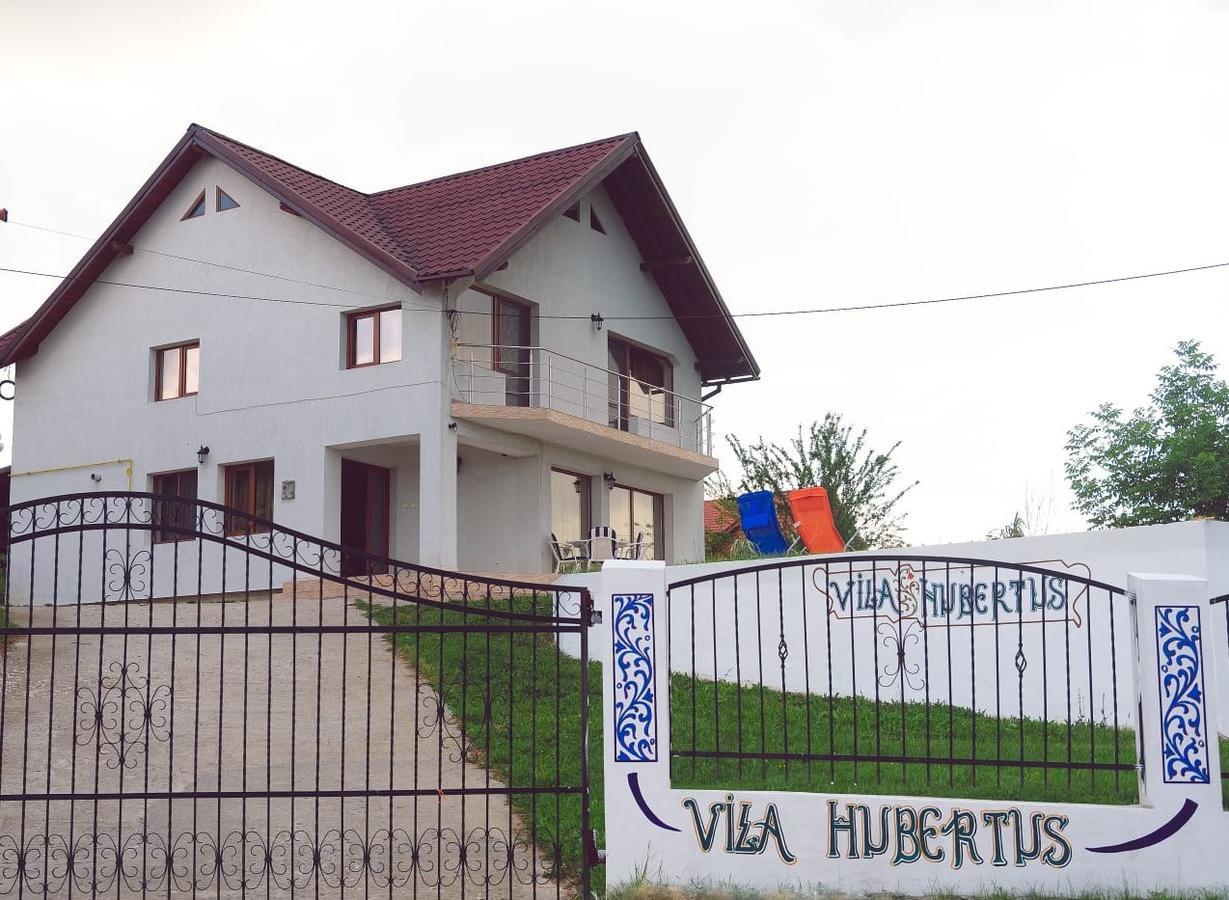 Villa Vila Hubertus à Curtea de Argeş Extérieur photo